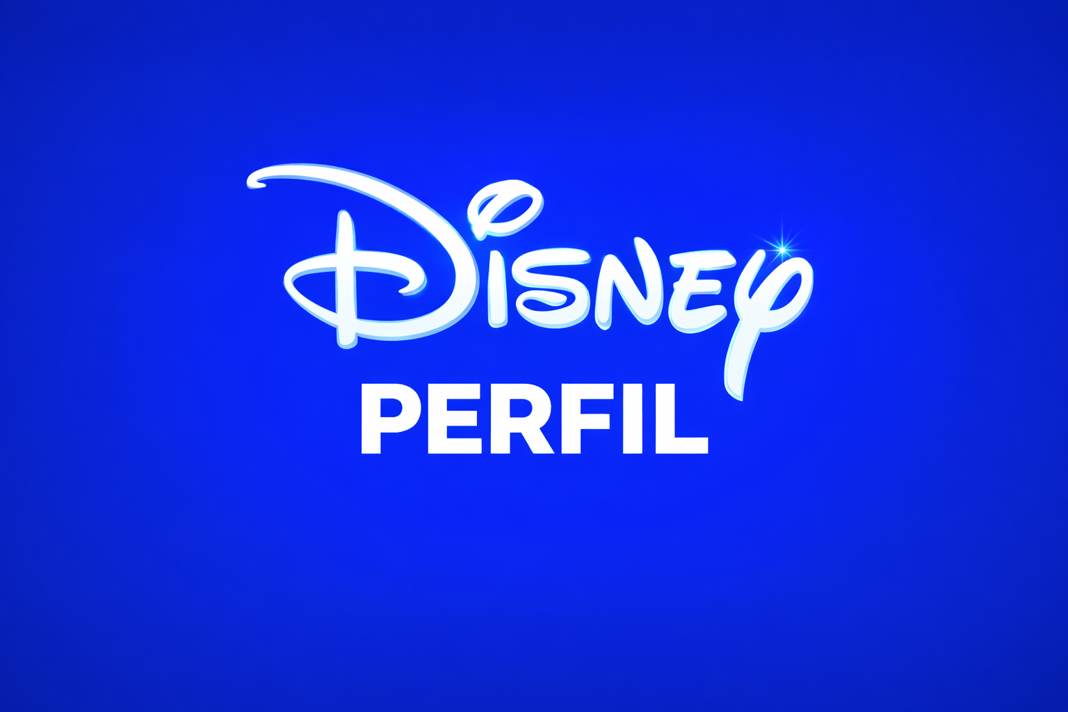 DISNEY S/A PERFIL